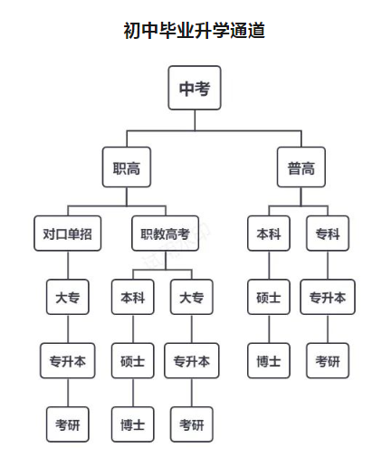 林州市開元領航職業學校升學體系是什么？